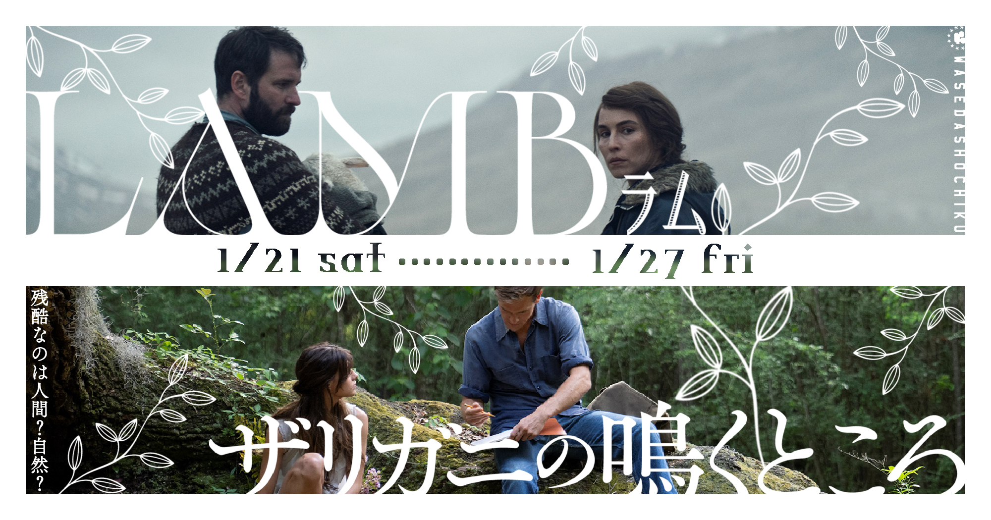 ザリガニの鳴くところ』『LAMB／ラム』 | 早稲田松竹 official web site | 高田馬場の名画座