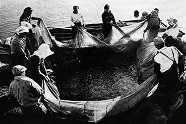 不知火海
The Shiranui Sea